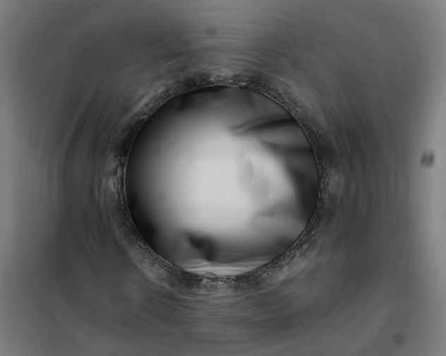 X0000101710914200807241452