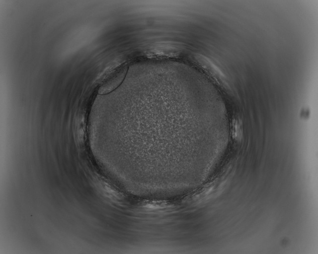 X0000101710915200807241452