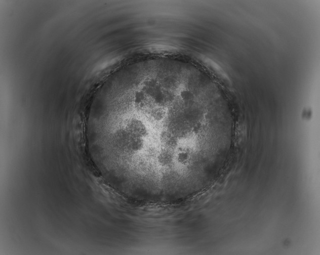 X0000101710917200807241452