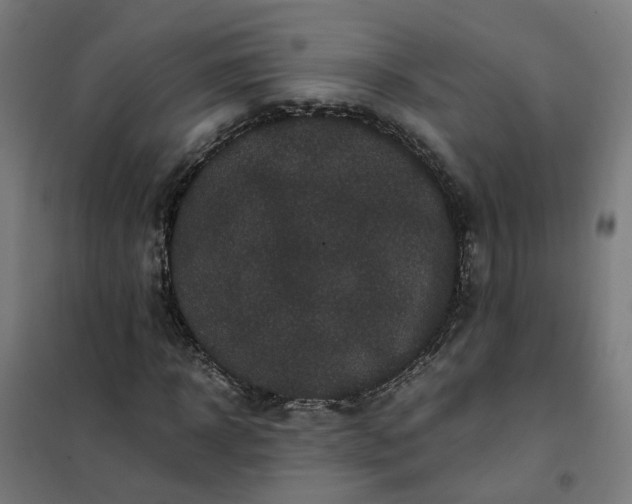 X0000101710918200807241452