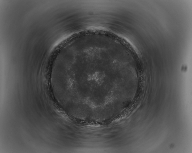 X0000101710919200807241452