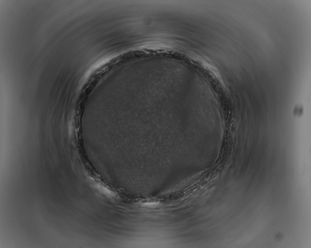 X0000101710920200807241452