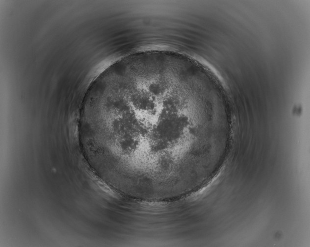 X0000101710921200807241452