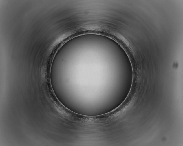 X0000101710922200807241452