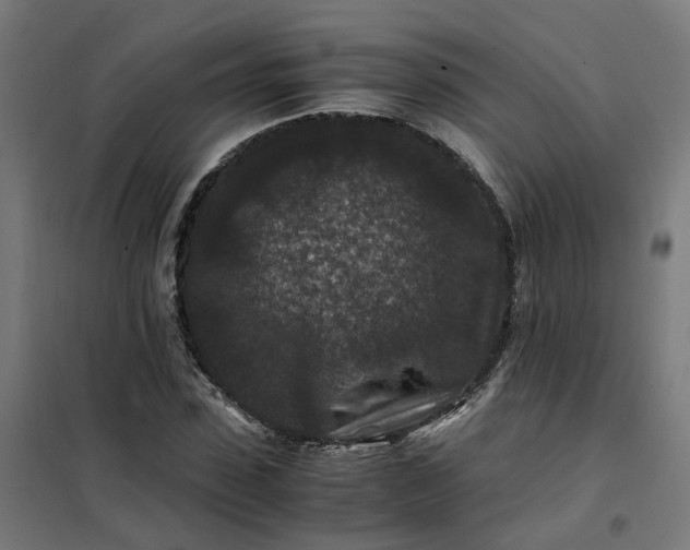 X0000101710923200807241452