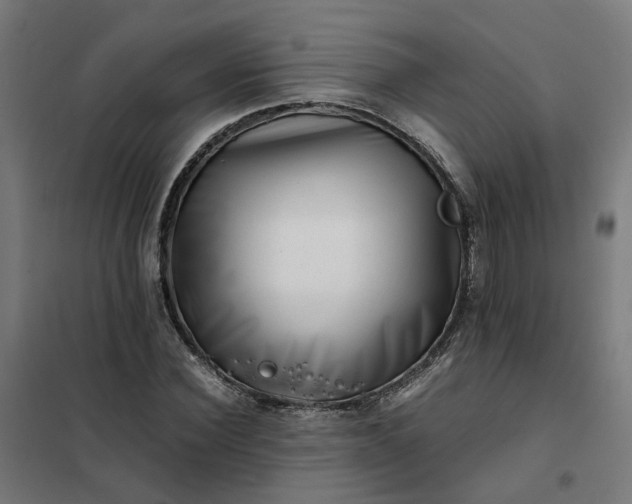 X0000101710924200807241452