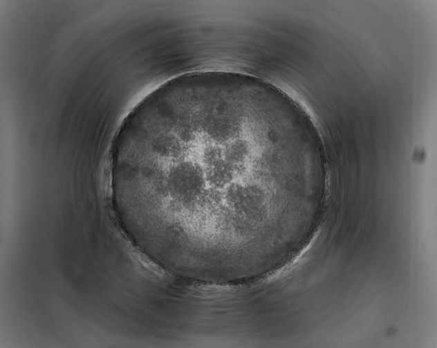 X0000101710925200807241452