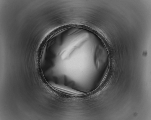 X0000101710926200807241452