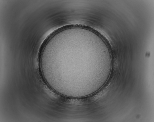 X0000101710927200807241452