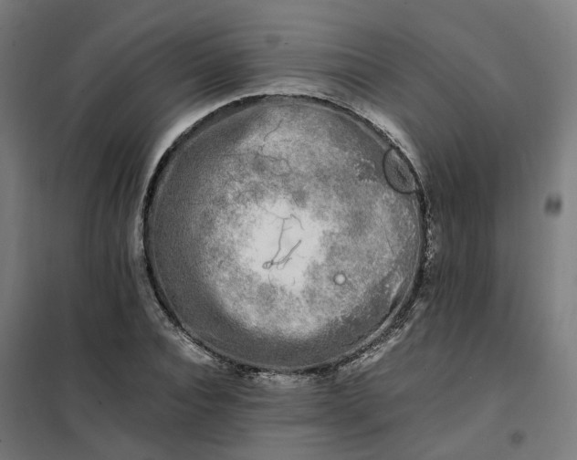 X0000101710928200807241452