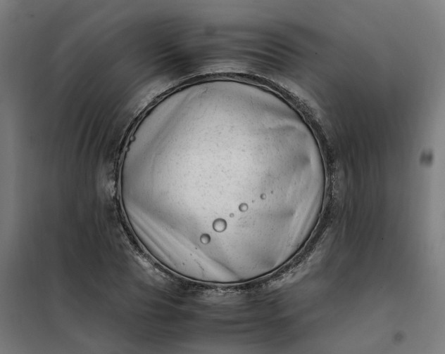 X0000101710929200807241452