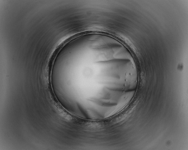 X0000101710931200807241452