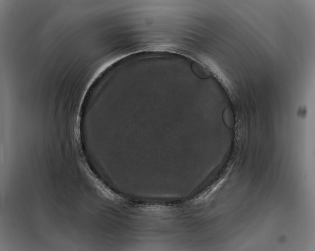 X0000101710932200807241452