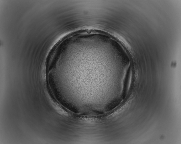 X0000101710934200807241452