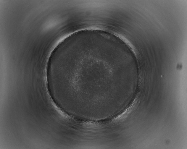 X0000101710935200807241452