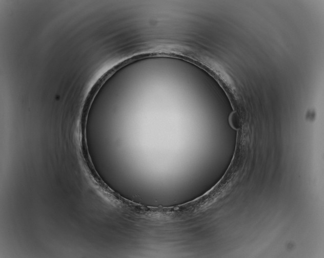 X0000101710936200807241452