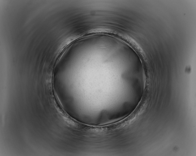 X0000101710937200807241452