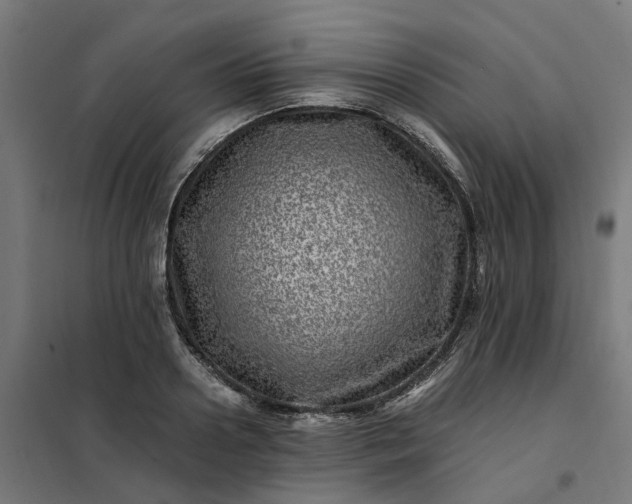 X0000101710938200807241452