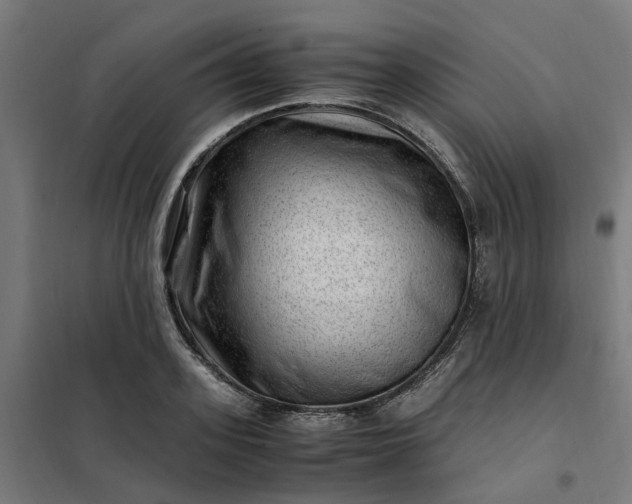 X0000101710939200807241452