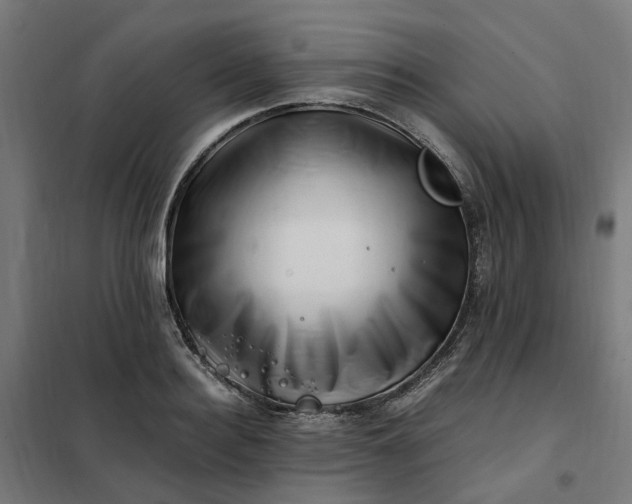 X0000101710940200807241452