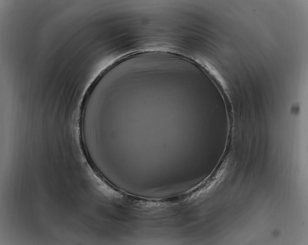 X0000101710941200807241452