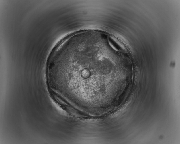 X0000101710942200807241452