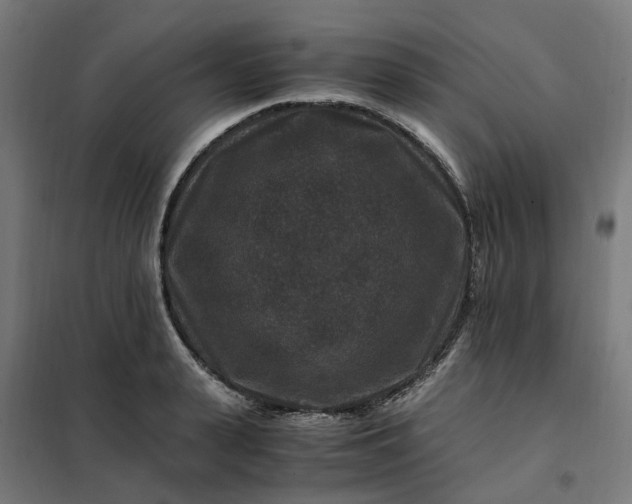 X0000101710943200807241452