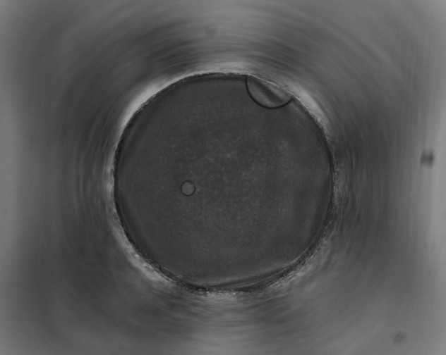 X0000101710944200807241452