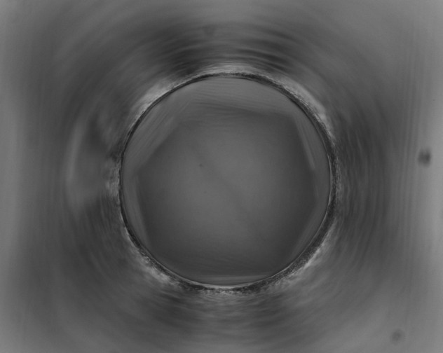 X0000101710945200807241452