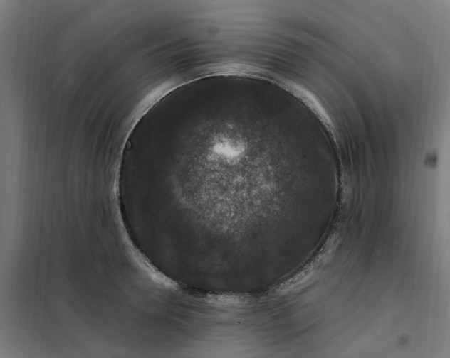 X0000101710946200807241452