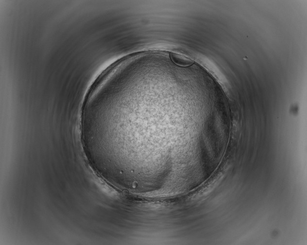 X0000101710948200807241452