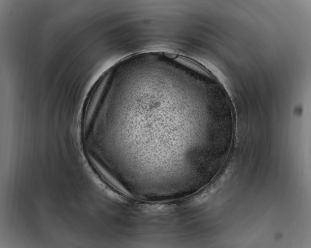 X0000101710949200807241452