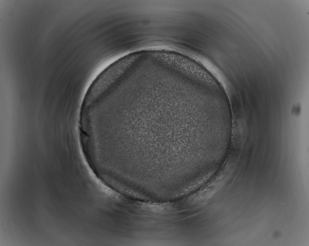 X0000101710951200807241452