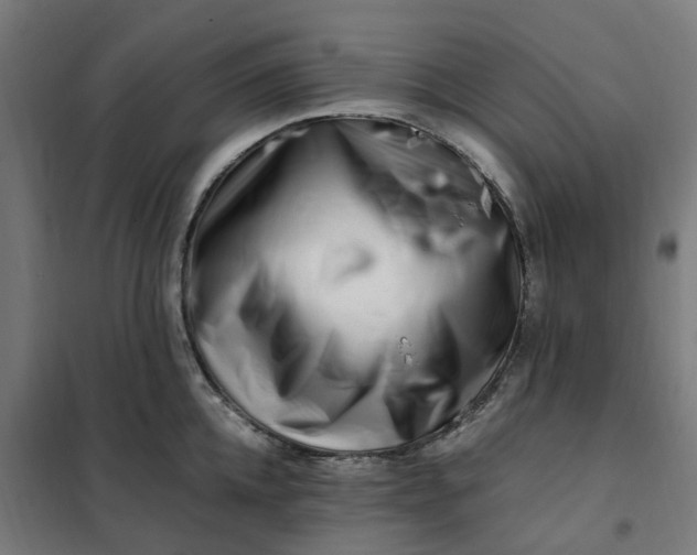 X0000101710952200807241453