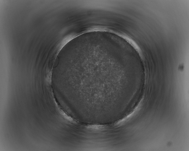 X0000101710953200807241453