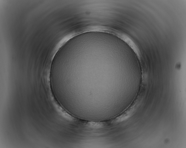 X0000101710954200807241453