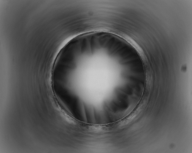 X0000101710956200807241453