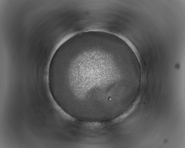 X0000101710957200807241453