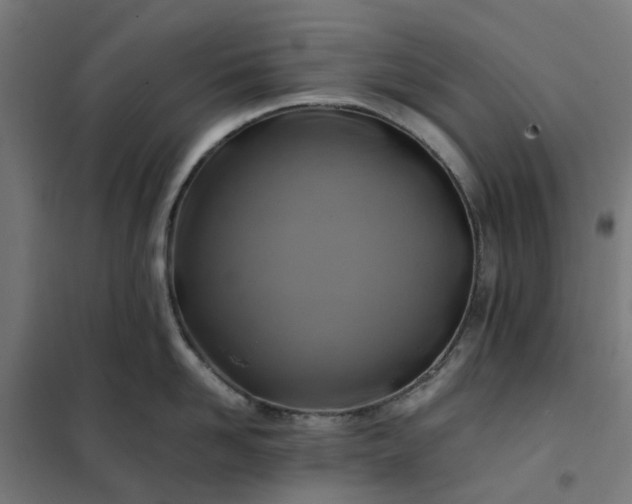 X0000101710958200807241453