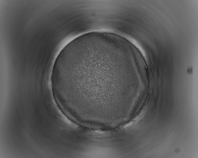 X0000101710959200807241453