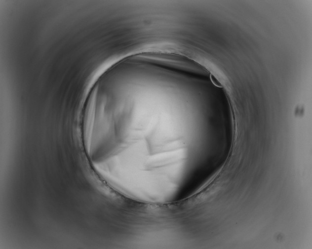 X0000101710960200807241453