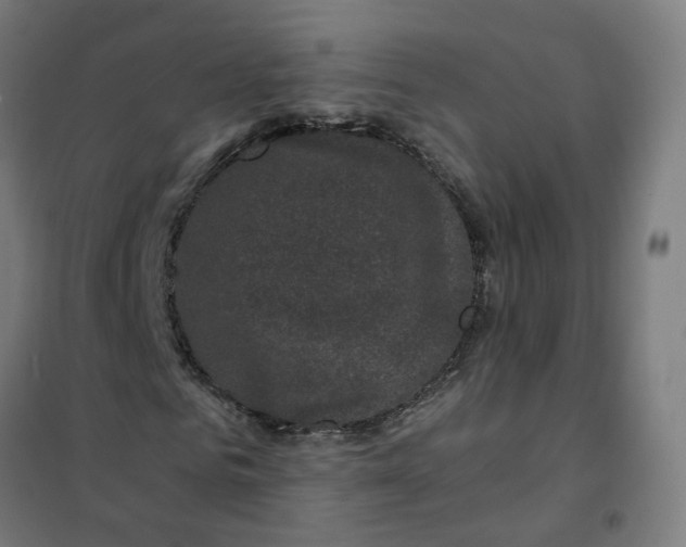 X0000101710961200807241452