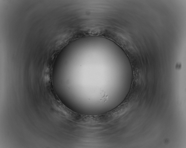 X0000101710962200807241452