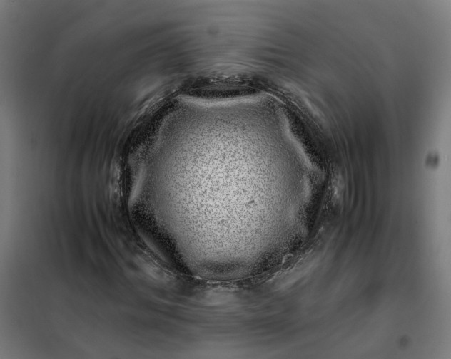 X0000101710964200807241452