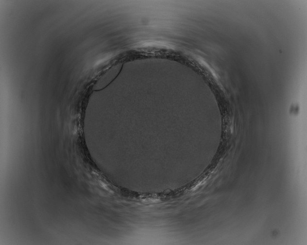 X0000101710965200807241452