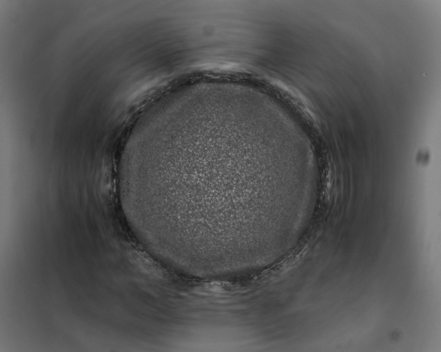 X0000101710966200807241452