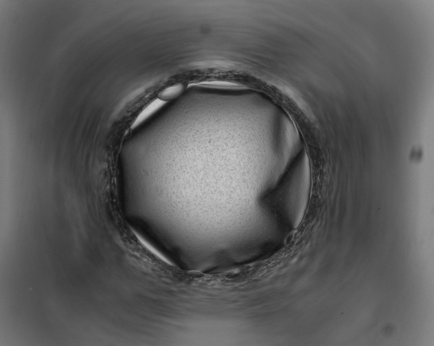 X0000101710967200807241452