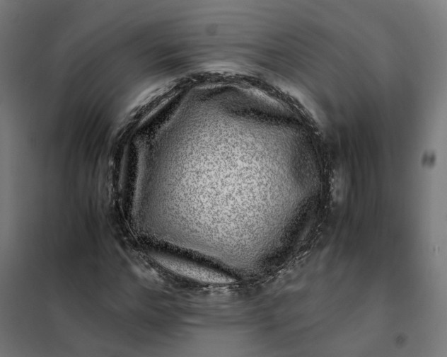 X0000101710968200807241452