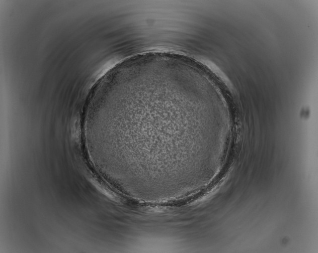 X0000101710969200807241452