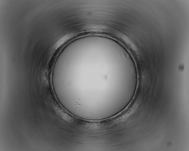 X0000101710970200807241452